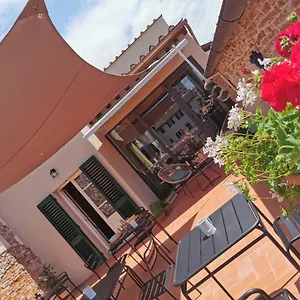 L'iris In Terrazza Lucca